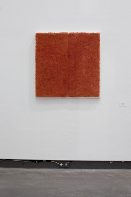 UNTITLED_2009